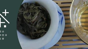小茶控品鉴包 篇二：非主流普洱茶 小叶种「猫耳朵」尝试  