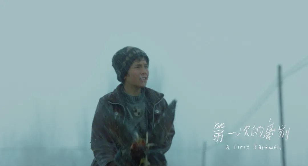 别嘲了，谁说2020华语电影没十佳？