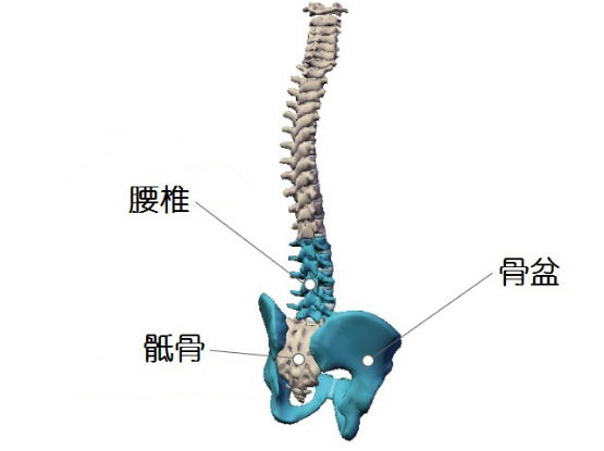 核心不练跑步白费：针对不同水平跑者的核心训练大全