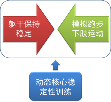 核心不练跑步白费：针对不同水平跑者的核心训练大全