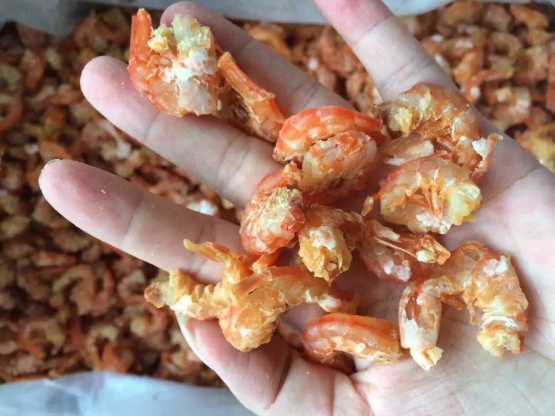 每日风物｜金钩海米，用长岛鹰爪虾制成的天然鲜味调料品