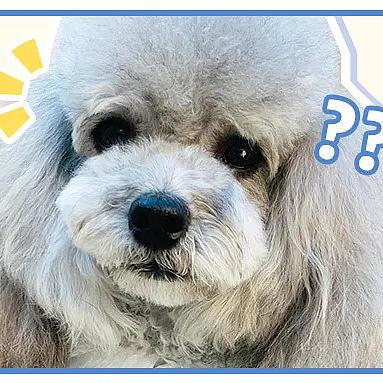 矿主们催了10000次的「低温烘焙粮」测评来了！