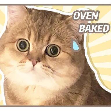 高蛋白+超低淀粉！低温烘焙猫粮来啦！