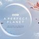 全网首篇！2021年BBC开年神作，豆瓣评分9.7分—《完美星球》