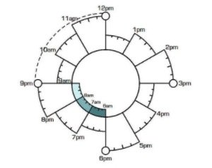 时间管理丨一天24小时都用哪儿了？会用Chronodex时间饼，每天多出2小时