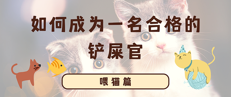 7款品牌猫粮的价格产地测评 猫猫不能吃的食物汇总 什么值得买
