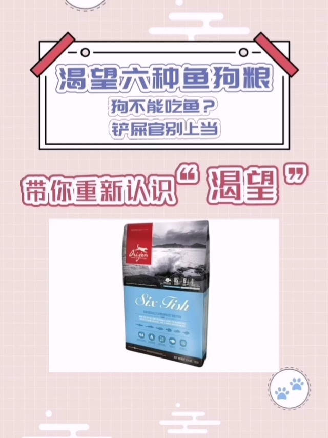 【视频】狗狗吃鱼的好处你绝对想不到