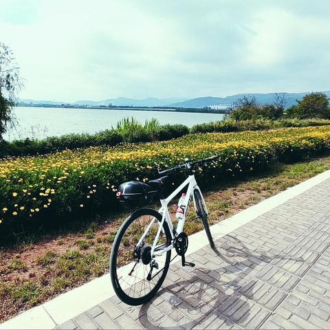 2020年骑行1991Km，入门通勤自行车（捷安特 Fastroad SL 1）及周边装备推荐