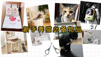 迎接猫猫回家：新手养猫必备物品