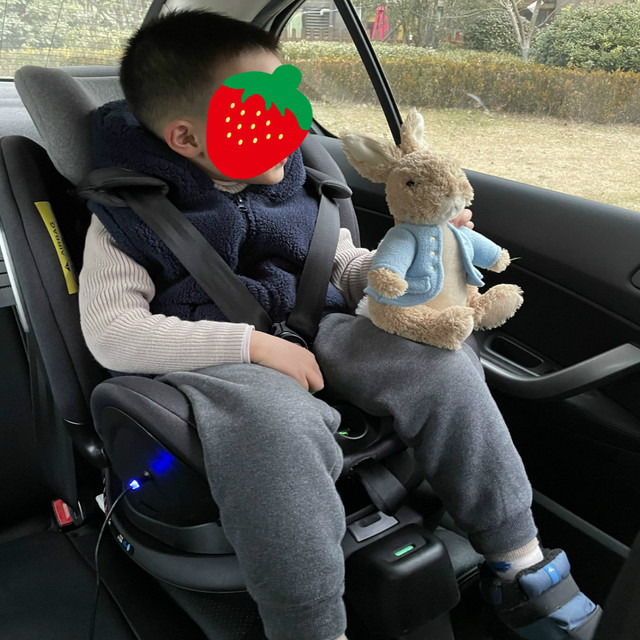 两只兔子【未知】儿童安全座椅深度体验
