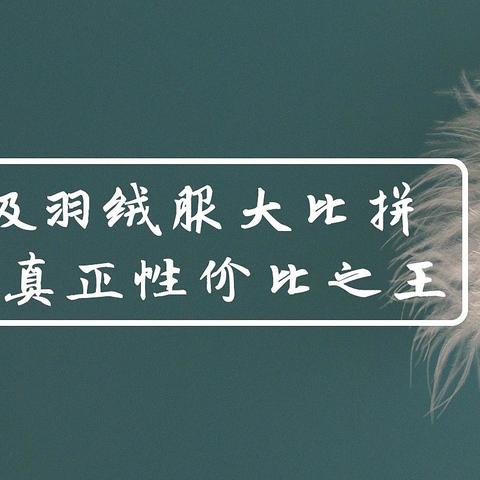 千元级别羽绒服大比拼，金字塔底端品牌就一定差吗？