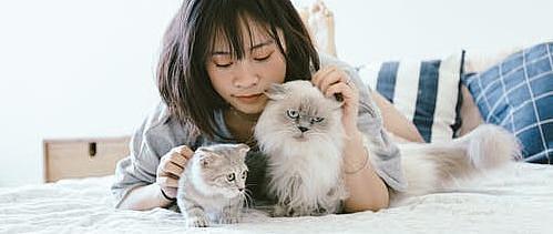 等待期查出甲状腺结节，患甲癌还给赔了50万？！_健康险_什么值得买