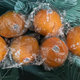 年货大作战第一篇：脐橙，买买买！