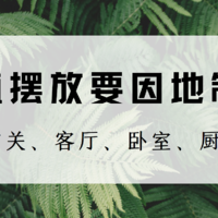 居家干货，新年添绿植，怎么摆放最合适（玄关、客厅、书房、卧室）