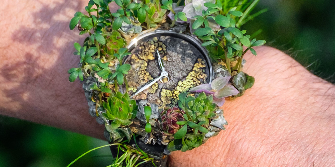 奢品鉴赏｜把植物“种”在了腕表上，每天还需要浇两次水？