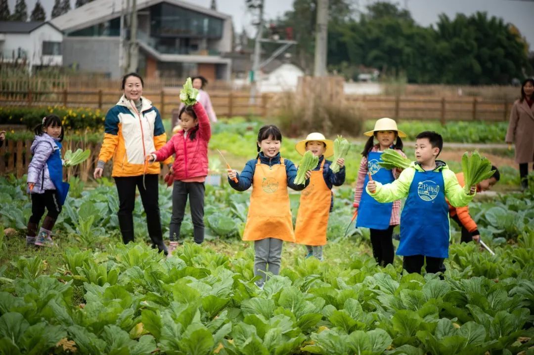 住院子、阅好书、看展览、吃鲜菜，来这座乡土美学民宿，做个乡野“新贵”