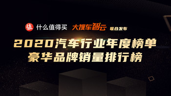 2020汽车行业年度榜单：豪华品牌销量及分城市销量排行榜 特斯拉和奔驰的较量