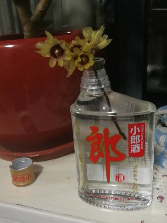 品后有感