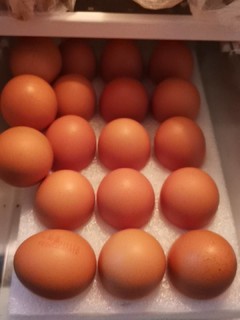 如何保存更多的鸡蛋在冰箱里