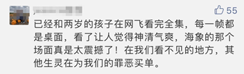 豆瓣9.8，孩子一生必看！8部神级纪录片，一次分享给你，春节宅家看～