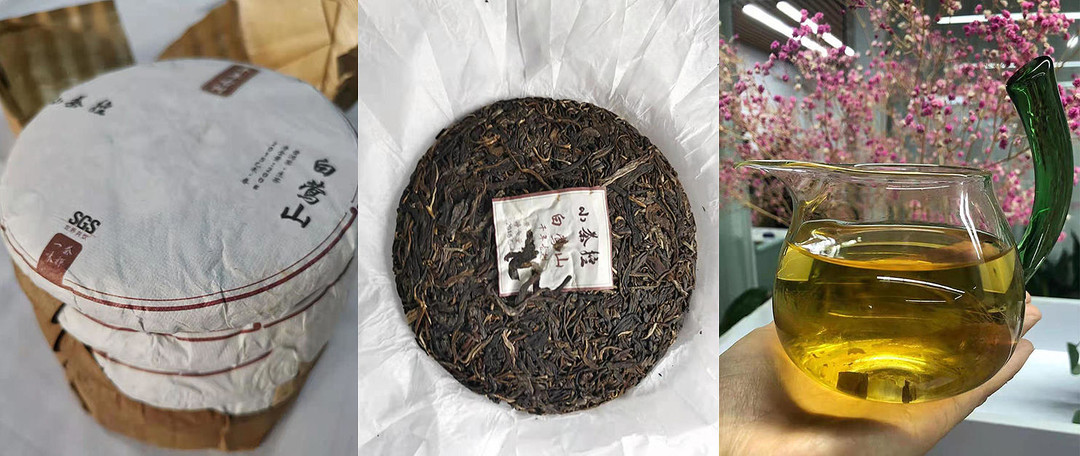 大半年喝完一筒 再聊白莺山古树茶 写在最后一饼之后