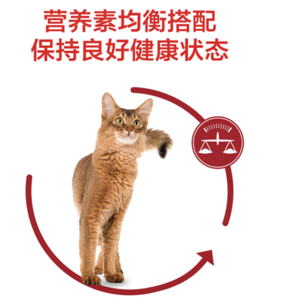 GO 猫粮翻车后，有什么国产猫粮能暂时代替的吗？