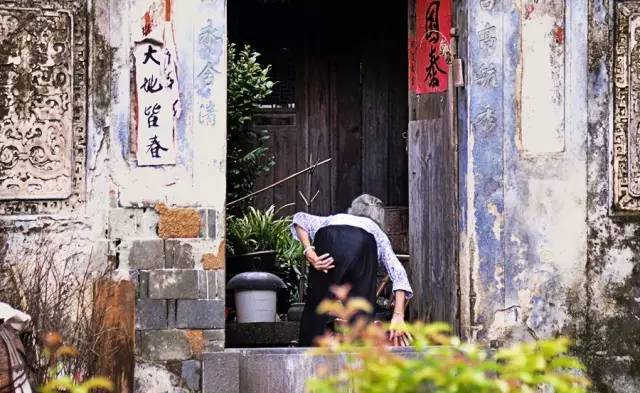 国内的冬樱也能美翻天！这个本地人私藏的后花园要出圈了