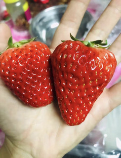 草莓红颜草莓牛奶草莓新鲜水果5斤