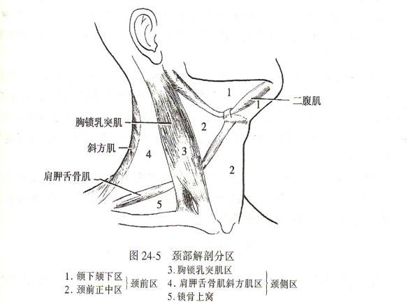 听听专家怎么说