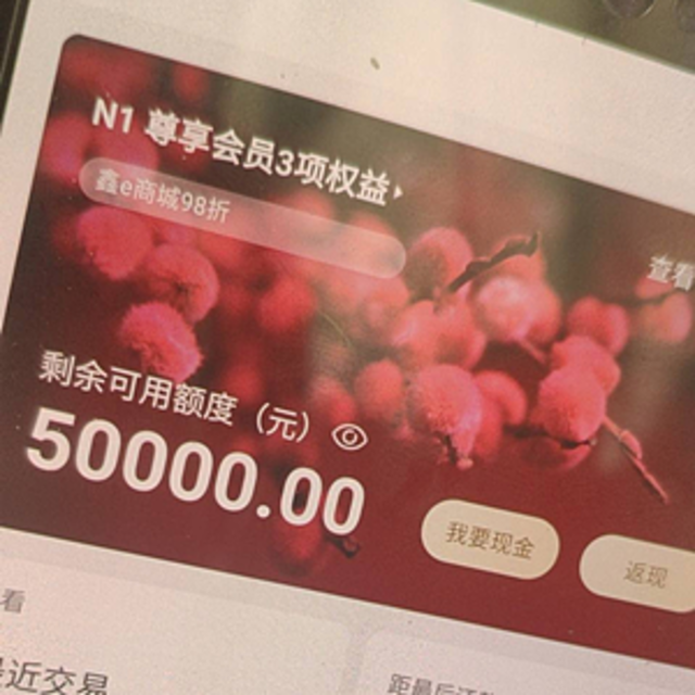 猝不及防的南京银行！虚拟卡有人能批5万！