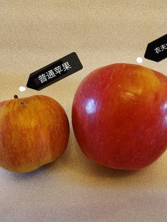 复购多次的农夫山泉苹果🍎