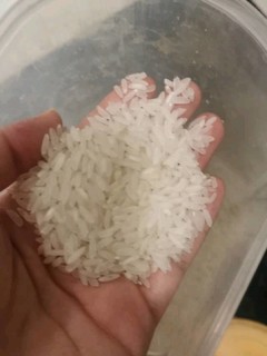 油粘米50块超值10kg