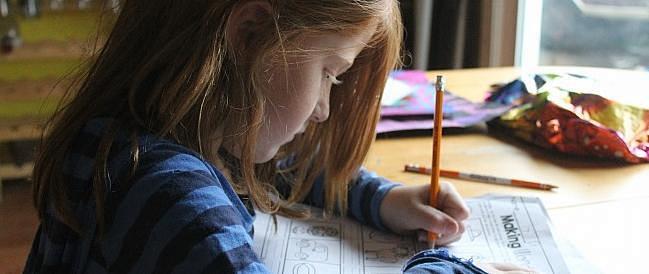 小学生作业不能出校门了 听到这个消息 老母亲瞬间感觉不好了 其他文化娱乐 什么值得买