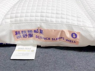 “枕”救颈椎：菠萝斑马软管枕