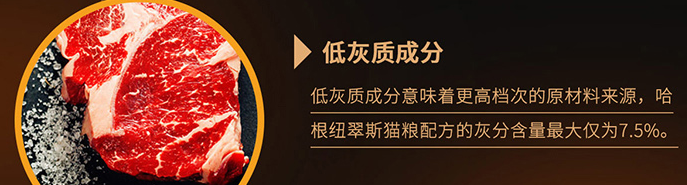 挑食喵喵的「真爱」现身，适口性超好随便挑？