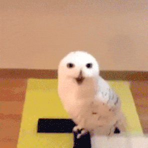 10组高性价比水乳，秋冬必备！！