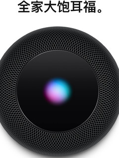 新年荐-初代Homepod 