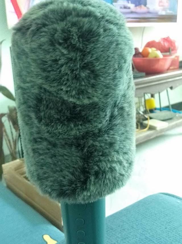 春节过年，无歌不欢，在家也会被抢麦