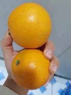 冰糖橙