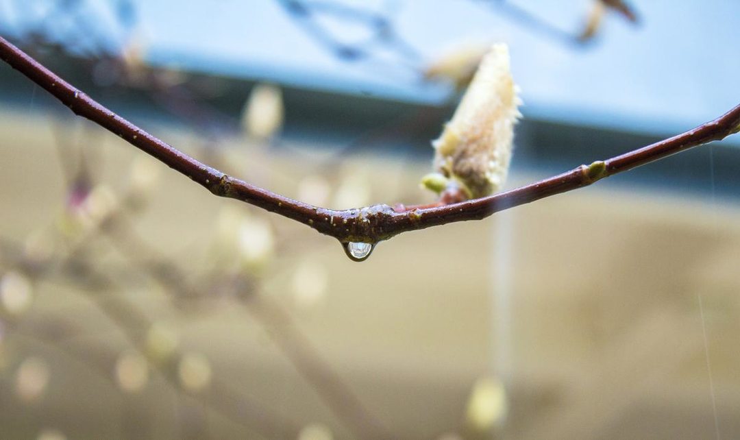 在“雨水”这一天，川西人会吃罐罐肉？