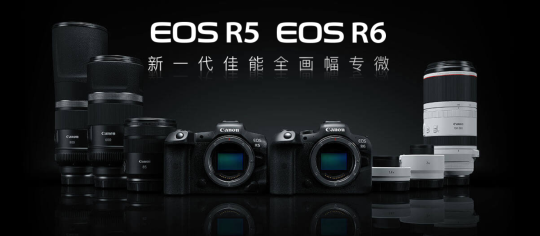 佳能R5与R6的29个不同点