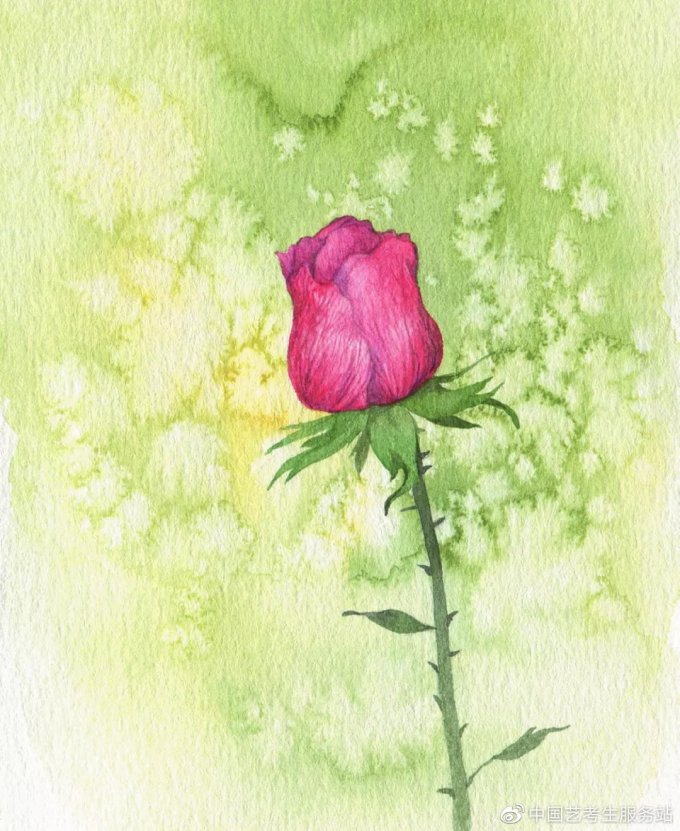 水彩教程 15种水彩基本技法 练完就能入门了 美术用品 什么值得买