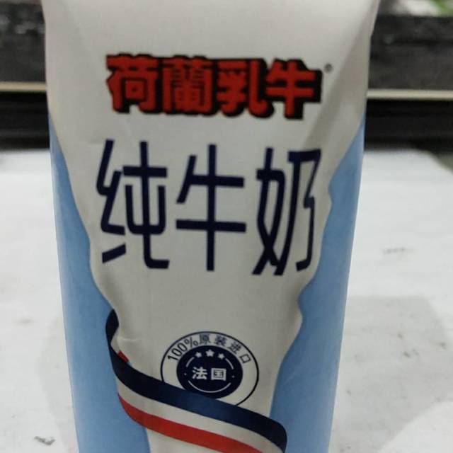 荷兰乳牛