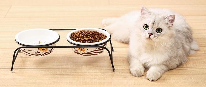  铲屎官必看，8款高蛋白进口猫粮推荐