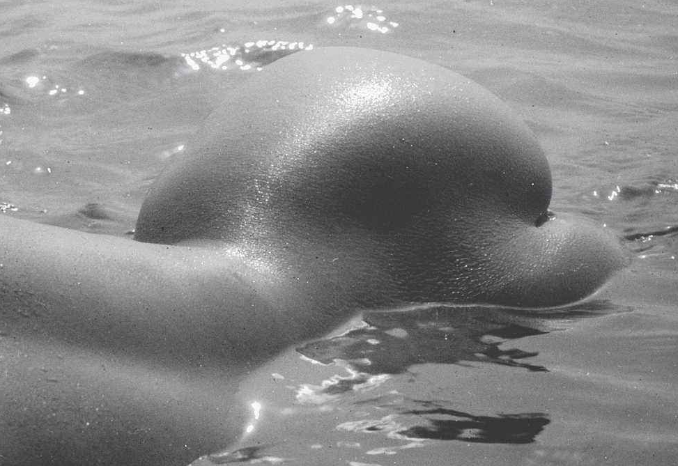 毕加索20年的挚友，把女性曼妙人体美拍到极致