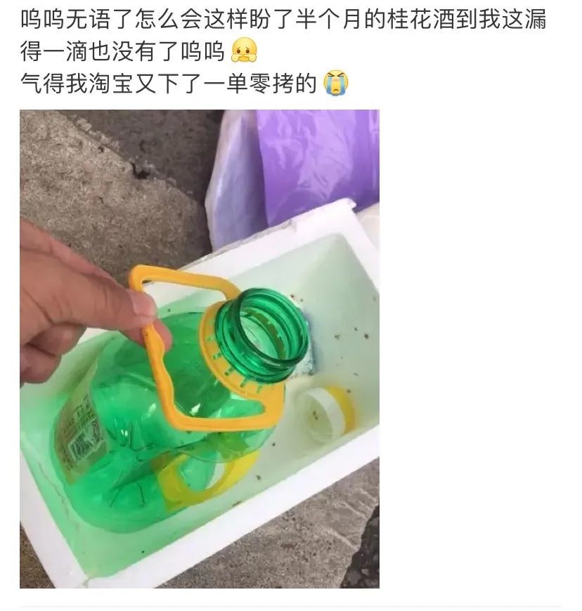 预测一下，这可能是下一个网红特饮