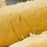 榴莲成中国进口量最大的水果
