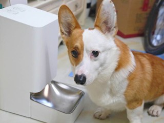 米家智能宠物喂食器，听话的喂食器