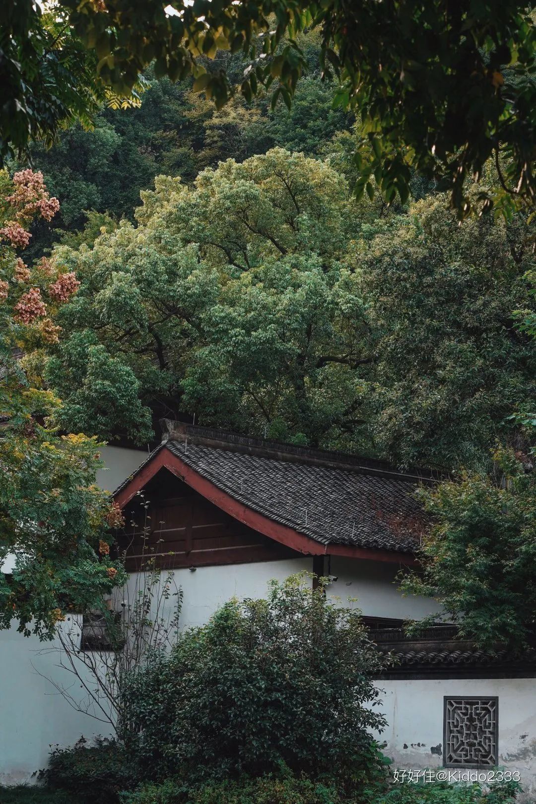 45㎡山下小宅，满屋的日式灵感，看完想当杭州人