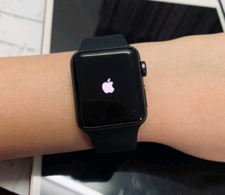 Apple Watch Series手表